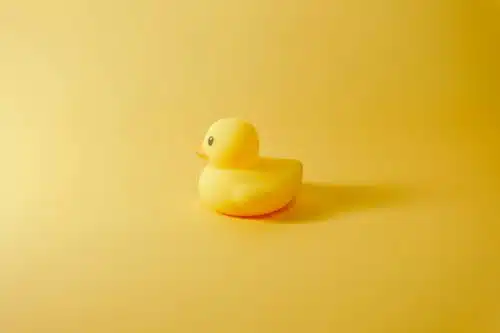 Rubber Ducky